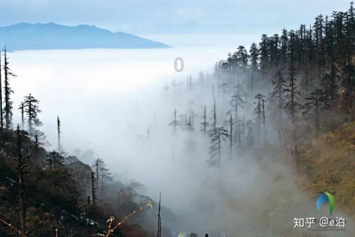 【市场观潮】让“火锅+”打造更多新消费场景